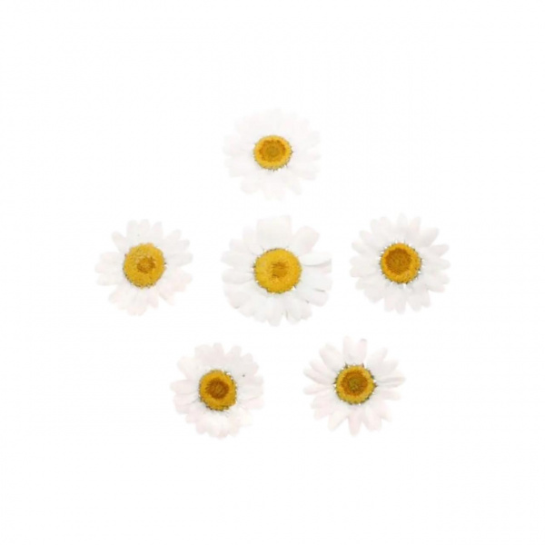 00-00007020_1_4 240