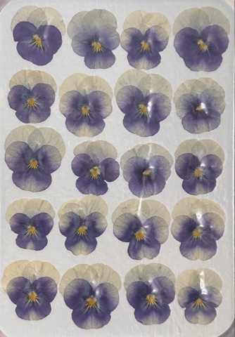 image-29-03-26-11-22-5