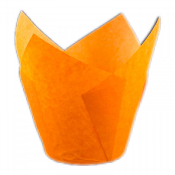 00-00007301_1_2 162